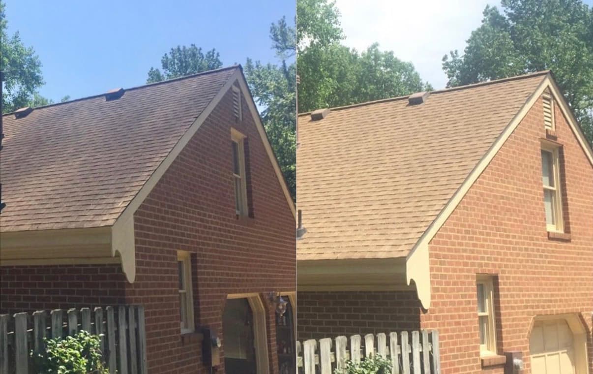 Why Roof Algae Is Destroying Your Shingles