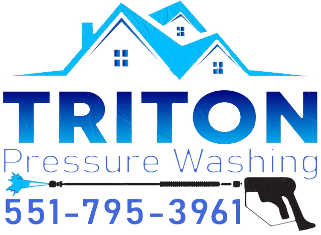 Triton Pressure Washing logo
